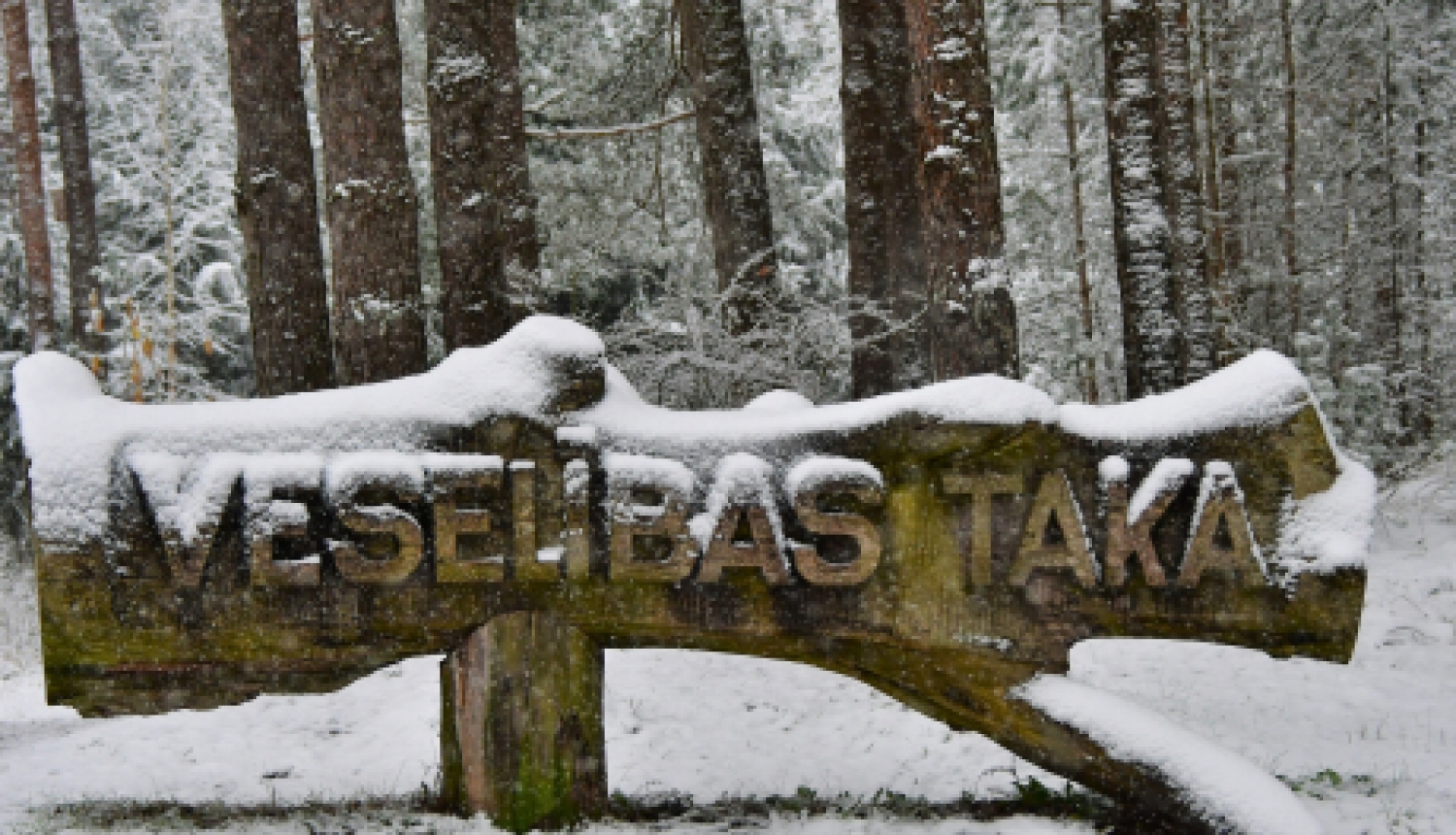 Ziema neattur no fiziskajām aktivitātēm
