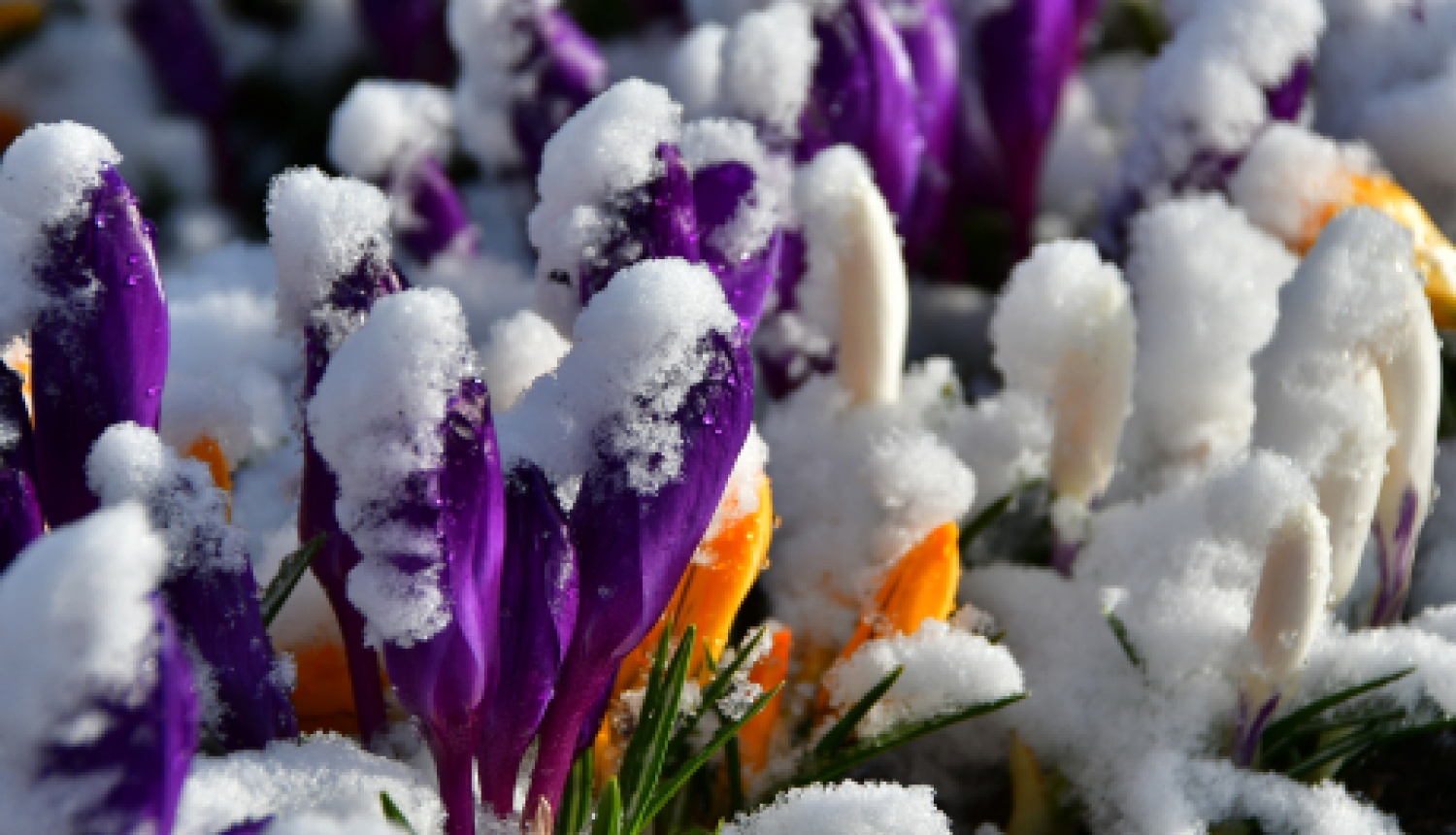 Jēkabpils 2.vidusskolas ēdināšanas uzņēmuma darbiniekam konstatē pozitīvu Covid-19 testu