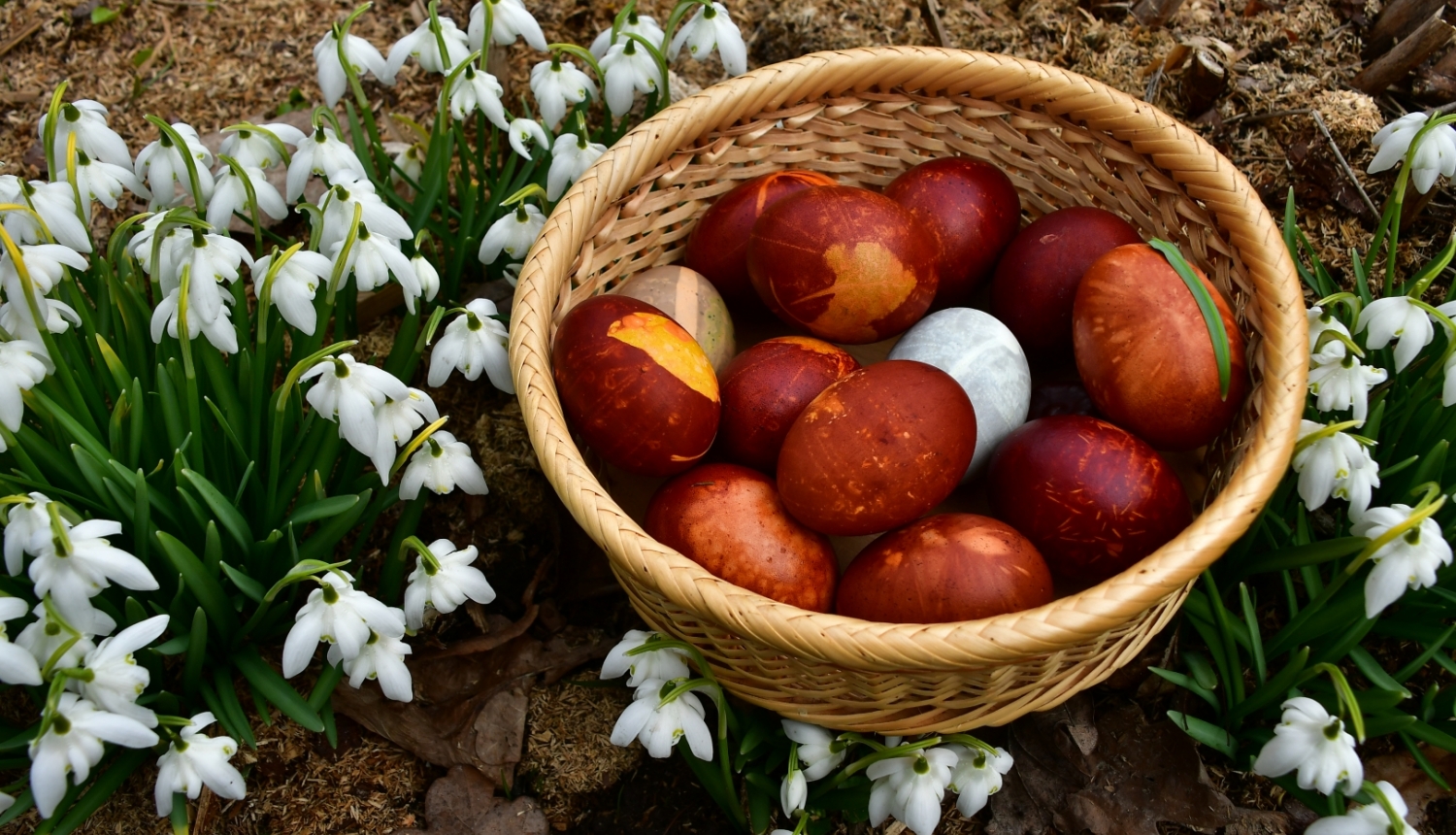 Lieldienu olas un sniegpulkstenīši