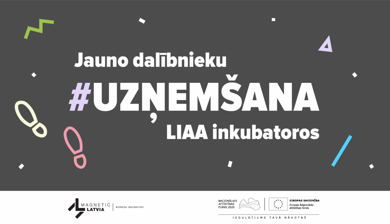 Ilustratīvs attēls no LIAA