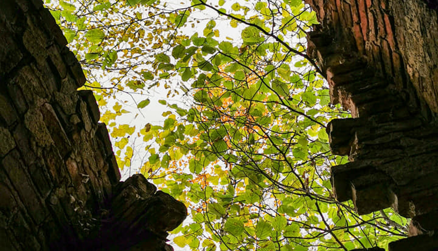 Ilustratīvs dabas foto