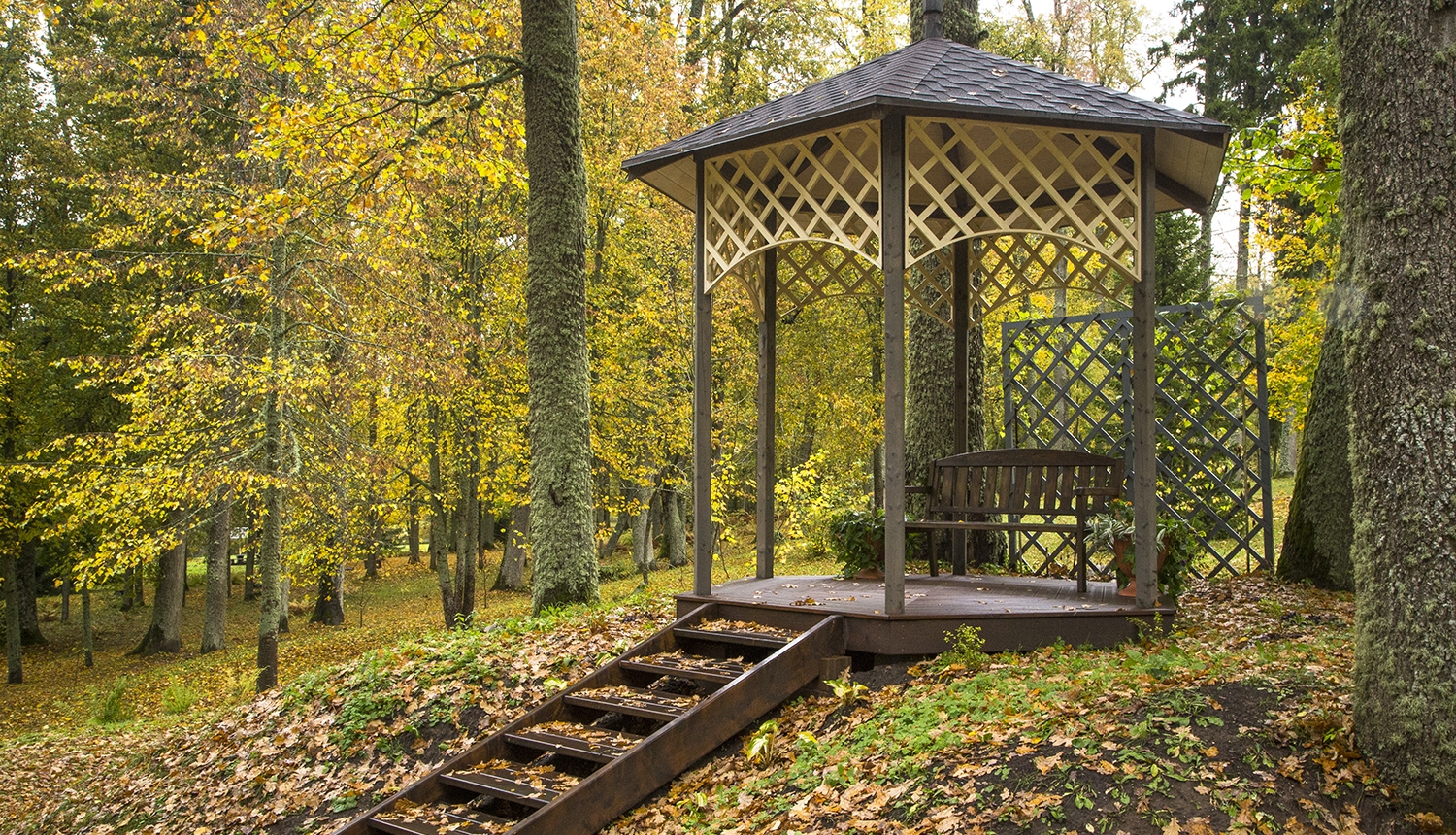 Lapene Zasas muižas parkā