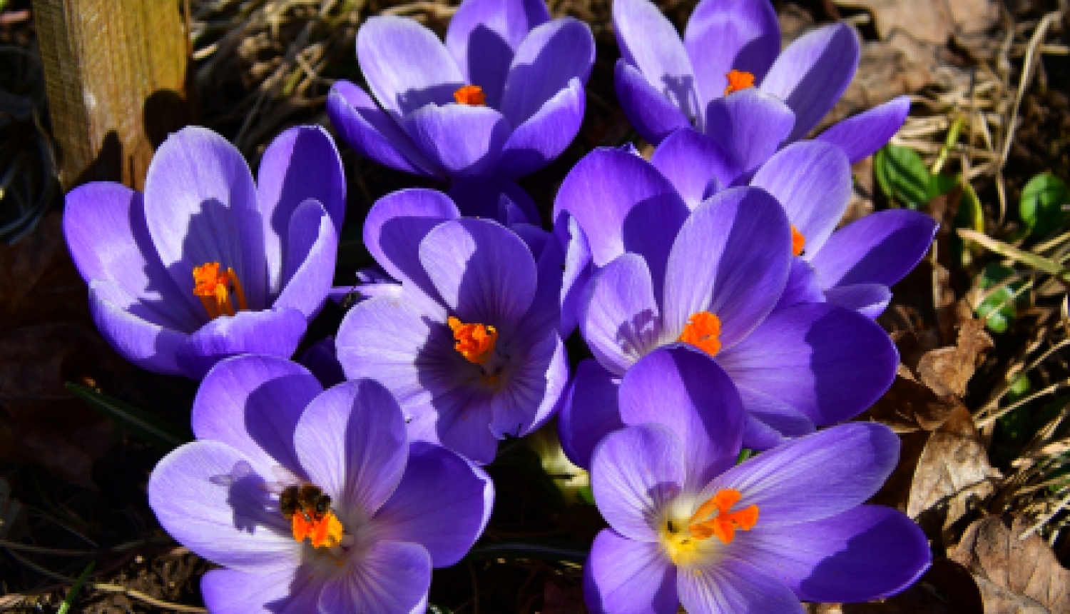 Pašvaldības nedēļas plāns 12.04.-18.04. 